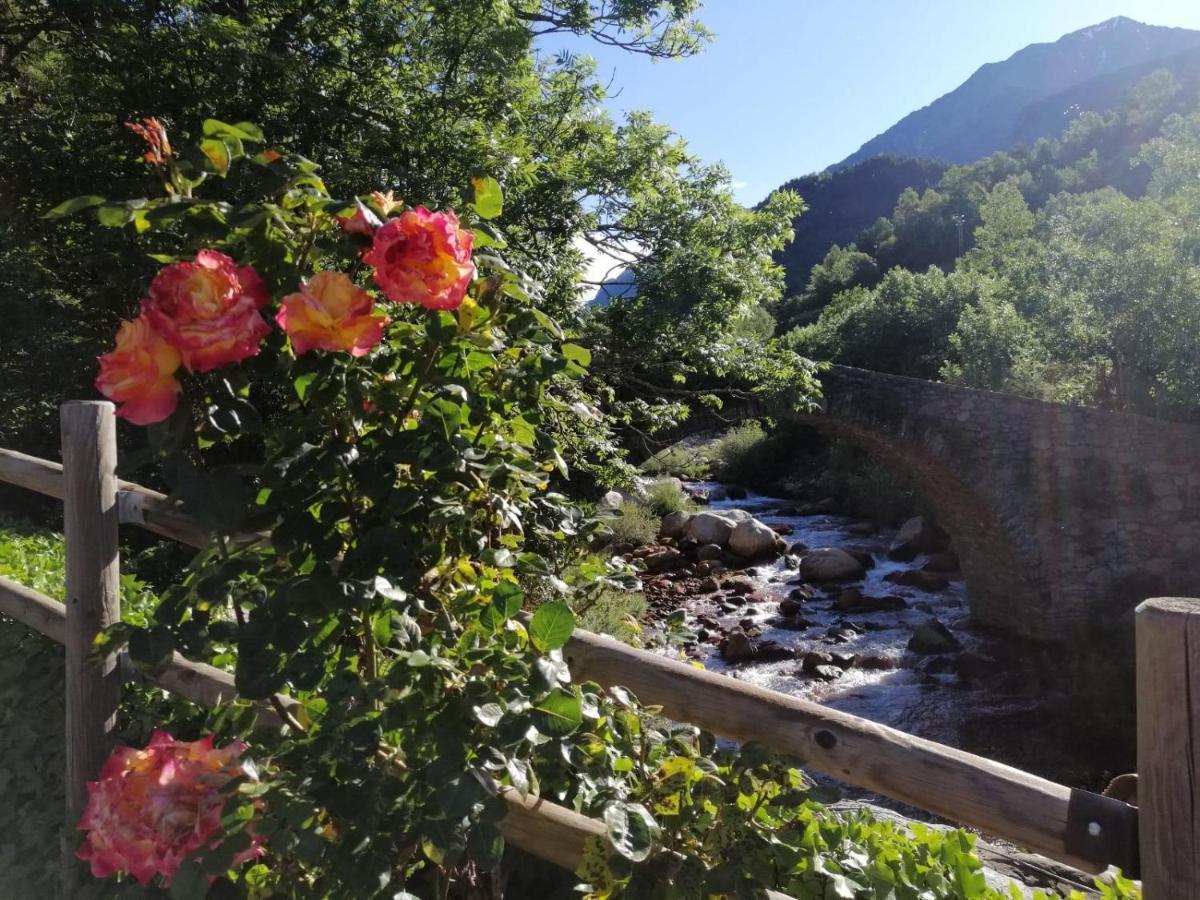 Camping Aneto Benasque Dış mekan fotoğraf