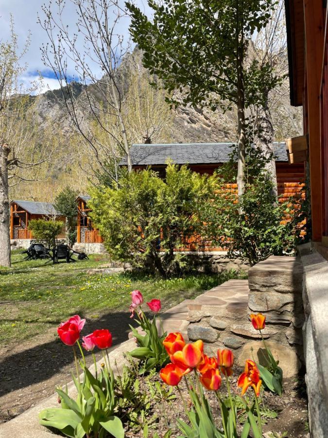 Camping Aneto Benasque Dış mekan fotoğraf